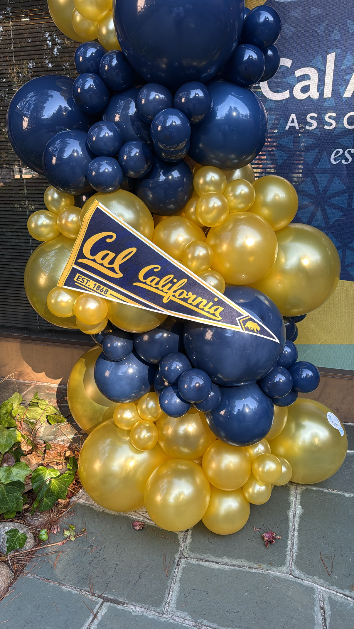 Ice Breaker Events Co. custom balloon and event decoration design example 12