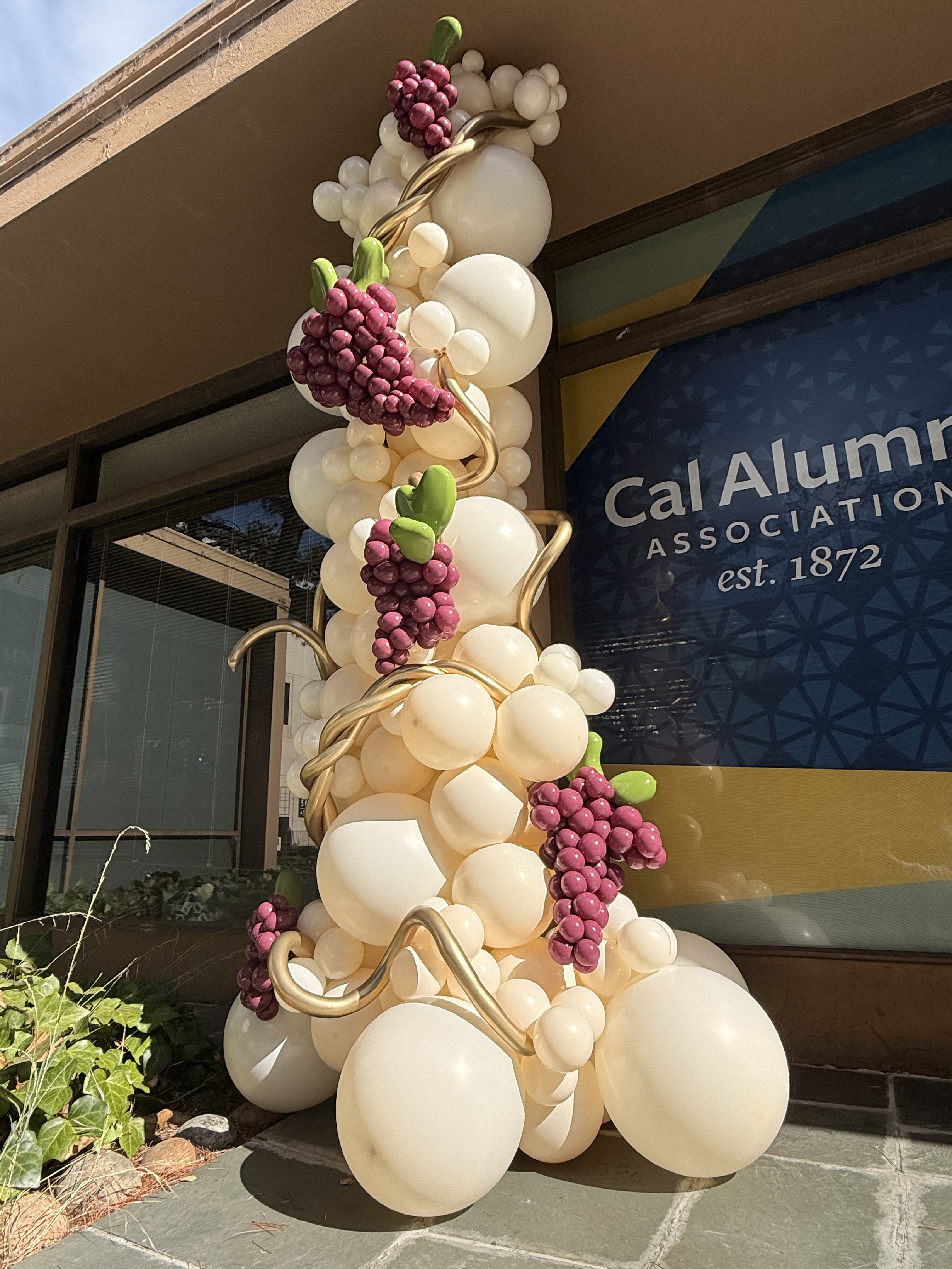 Ice Breaker Events Co. custom balloon and event decoration design example 22